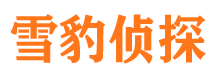 冕宁市侦探调查公司